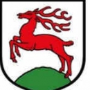 Piast Gorzów Śląski