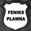 Feniks Pławna