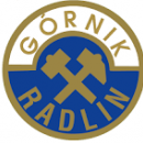 Górnik Radlin 2008