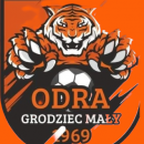 Odra Grodziec Mały