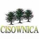FC Cisownica