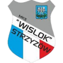 Wisłok Strzyżów (FM)