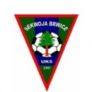 Sekwoja Brwice