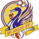 GO Soccer FC