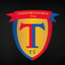 Towarzystwo Sportowe Tarnowiczanka