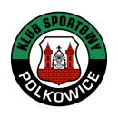 KGHM Metraco Górnik Polkowice