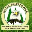 Orzel Faliszówka