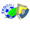 KS Geo-Eko Ekoball Stal Sanok