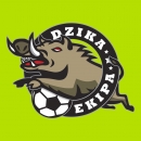 Dzika Ekipa FC