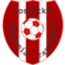 KS Toszecka Akademia Piłkarska