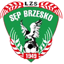 Sęp Brzesko