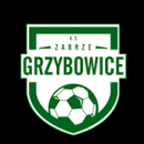 KS Zabrze - Grzybowice