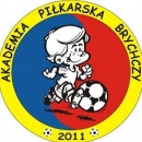 Akademia Piłkarska Brychczy