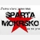KS Sparta Mokrsko