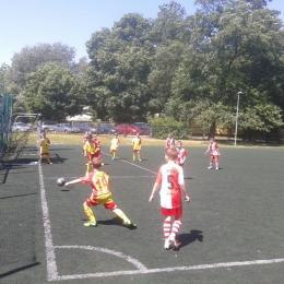 Sparing z Kosa Konstancin