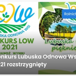 Lubuska Odnowa Wsi 2021