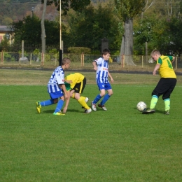 IV TURNIEJ LIGOWY ORLIKÓW - Golub-Dobrzyń - grupa trenera Tomasza Niemiry