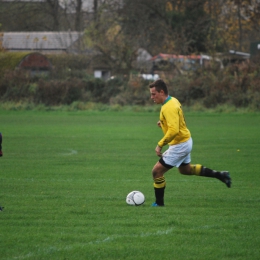 FC Polonia-Manningham All Stars   07.11.2015