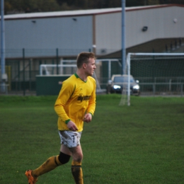 FC Polonia-Manningham All Stars   07.11.2015