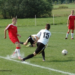 Zamek 8:0 Cis Brzeźnica