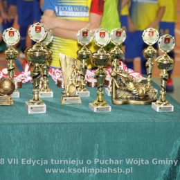 15.12.2018 VII edycja turnieju o Puchar Wójta Gminy Poczesna