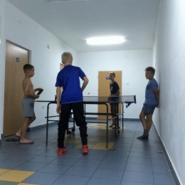 Ping - pong