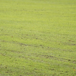 Prace na Stadionie Miejskim w Krobi