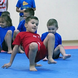 Brazylijskie Jiu-Jitsu