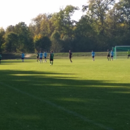 Warta - Gaj Wielki 2:1 (14.10.2018)