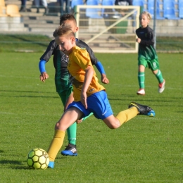 LP: AP Champions - Górnik Boguszowice