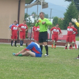 Turniej Małego Pola o Puchar Wójta Sękowej (28.06.2015)