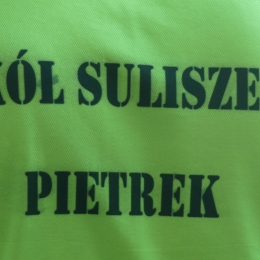 Drzewiarz Świerczyna - Sokół Suliszewo