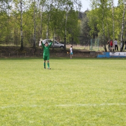 Borowik - Gołkowice  Tramprarze