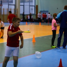 Piknik rodzinny Radosne Świętowanie Niepodległości