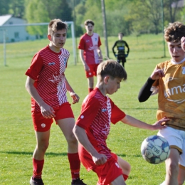 Wisłok Strzyżów 2:2 Brzozovia Brzozów