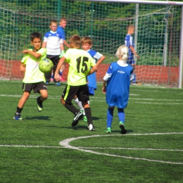 W sobotę, 6 września 2014 roku na Orliku na Stadionie MOSiR Gostynin w ramach imprezy „Sportowe pożegnanie lata” rozegrano mecz sparingowy w kategorii U-11 pomiędzy Mazurem a Football Academy oraz udekorowano zwycięzców piłkarskiego wakacyjnej Ligi Dzikic