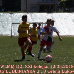 WLMM D2 wiosna