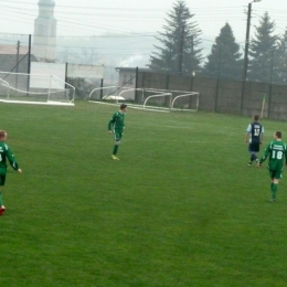 Gwiazda Skrzyszów - Rymer Rybnik 3:5