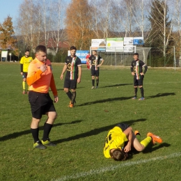 Sokół Domaradz 1:1 Brzozovia Brzozów