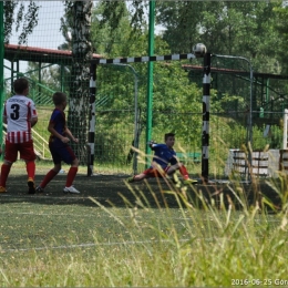 AZOTANIA, ZAKOŃCZENIE SEZONU