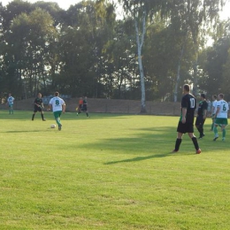 KS Burza Borowa Wieś - LKS Pogoń Ziemięcice: 10:0 (k. 2)