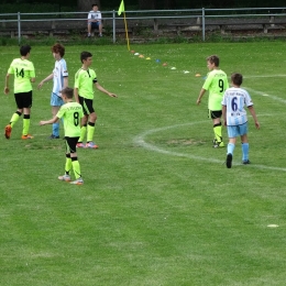 LTS LEŚNA-WŁÓKNIARZ MIRSK (10-0) MŁODZIK