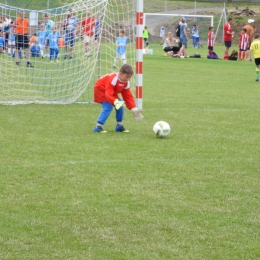 Śnieżka CUP rocznik 2009