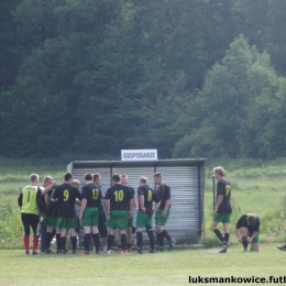 MAŃKOWICE 7 : 2  ORZEŁ OLSZANKA  19.06.2014