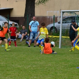 Summer Młodzik Cup 2017 dla rocznika 2006