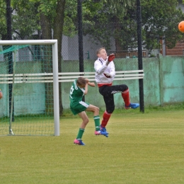 AP Champions - Rekord Bielsko-Biała