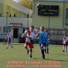 WLMM D2 wiosna