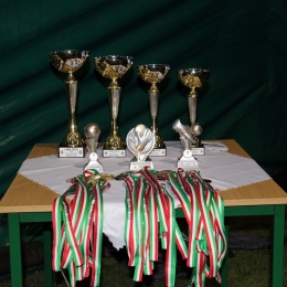 Turniej Puchar Ursynowa rocznik 2005 – 21.11.2015r.
