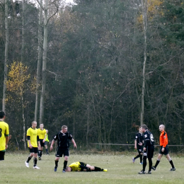 Świt Borowno - Biała Gwiazda Krasice 3-1 (0-1) 11.11.2012