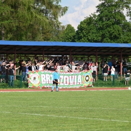 Brzozovia 3:1 Sanovia Lesko - Oprawa meczu